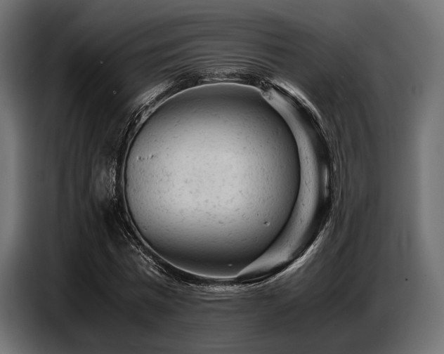 X0000087670777200705041009