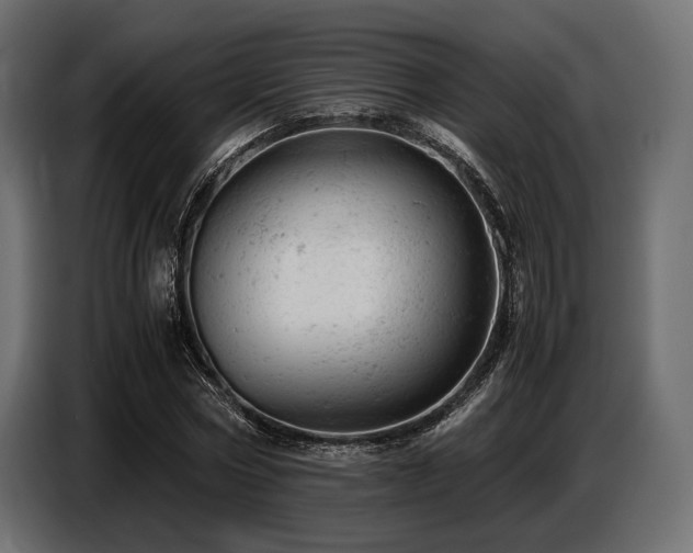 X0000087670778200705041009