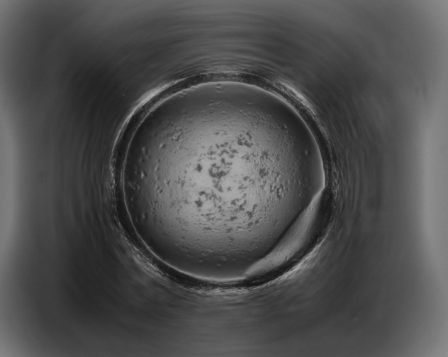 X0000087670779200705041009