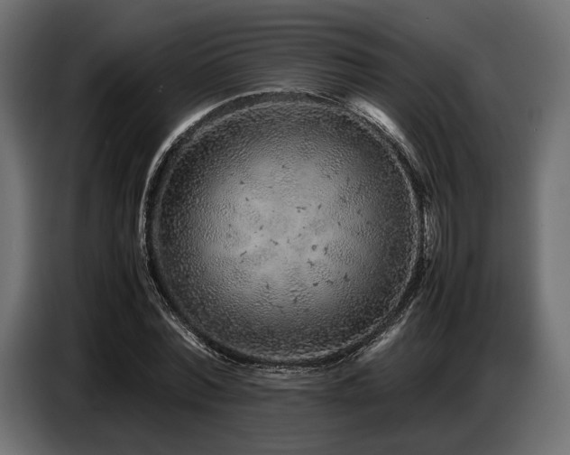 X0000087670780200705041009