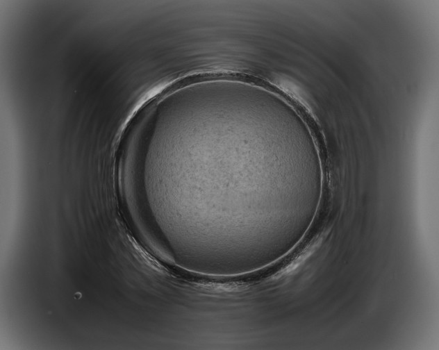 X0000087670781200705041009