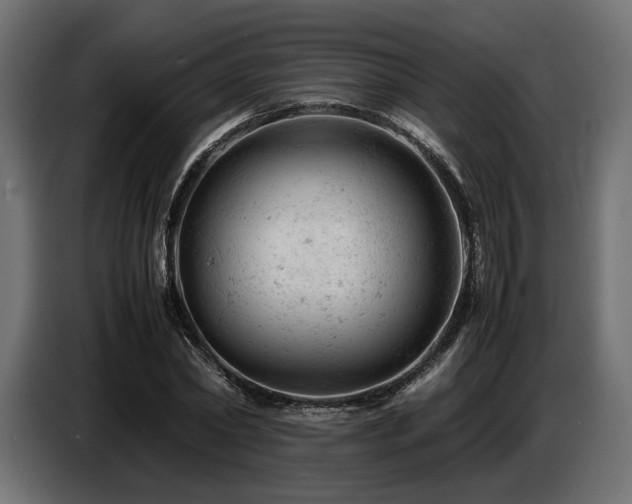 X0000087670782200705041009