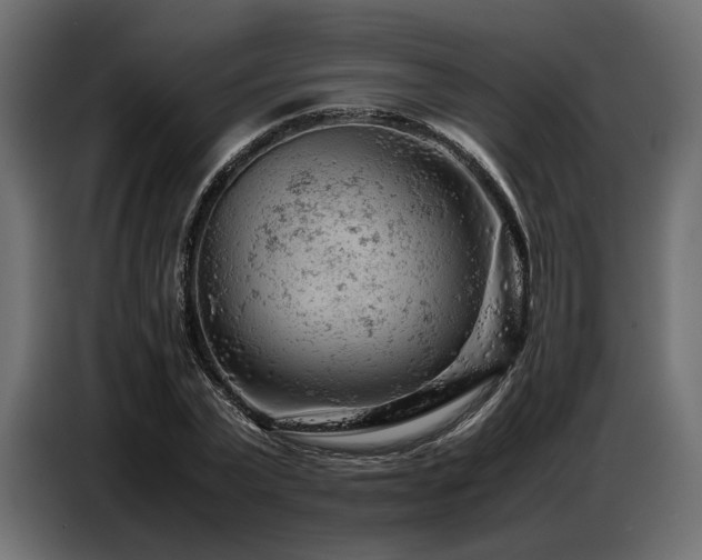 X0000087670783200705041009