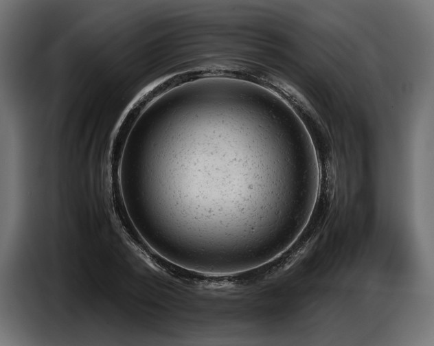 X0000087670784200705041009