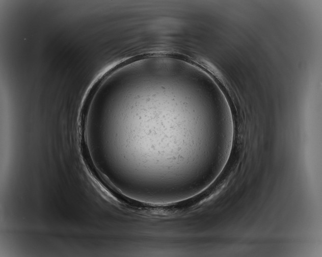 X0000087670787200705041009