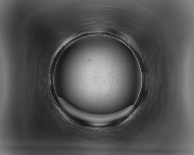 X0000087670789200705041009