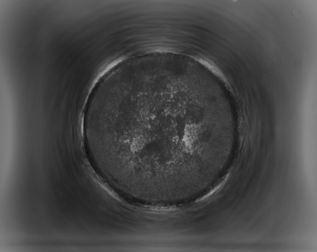 X0000087670790200705041009