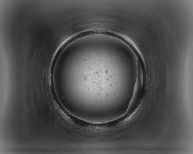 X0000087670791200705041009