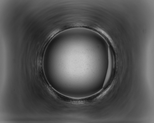 X0000087670793200705041009