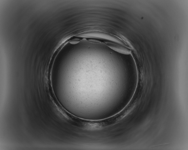 X0000087670794200705041009