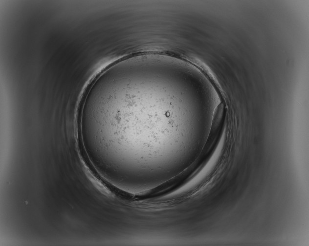 X0000087670795200705041009