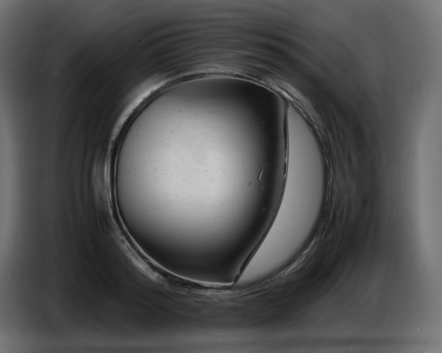 X0000087670796200705041009