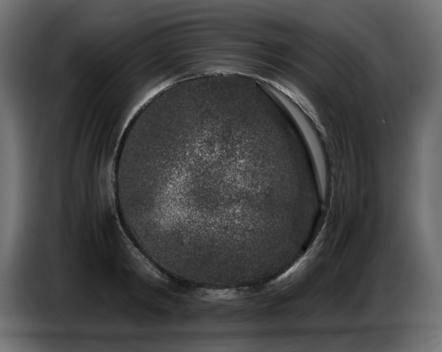 X0000087670798200705041009