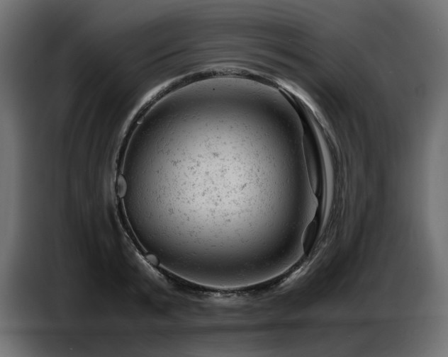 X0000087670799200705041009