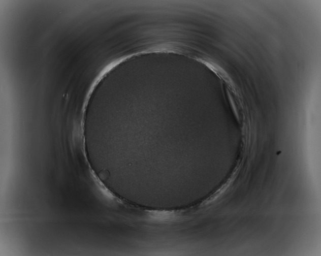 X0000087670800200705041009