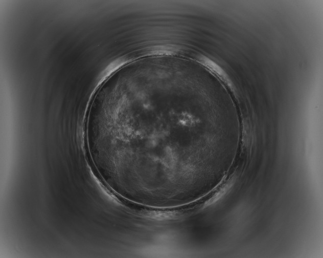 X0000087670802200705041009