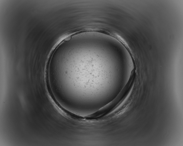 X0000087670803200705041009