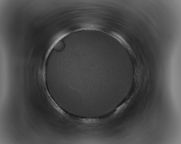 X0000087670804200705041009