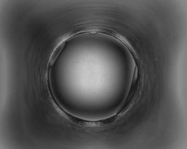 X0000087670805200705041009