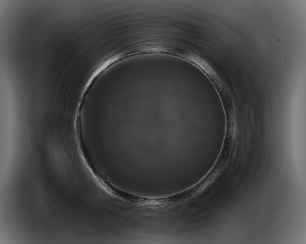 X0000087670806200705041009