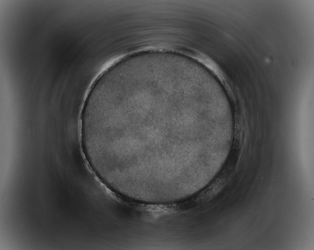 X0000087670807200705041009