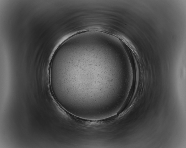 X0000087670808200705041009