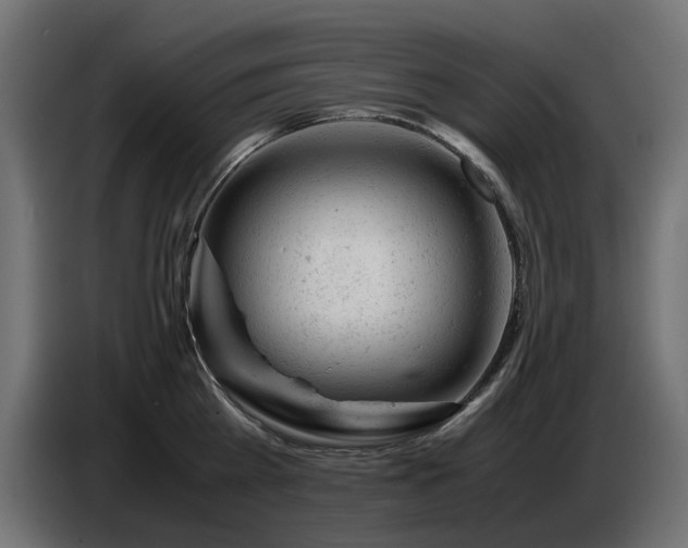 X0000087670809200705041009