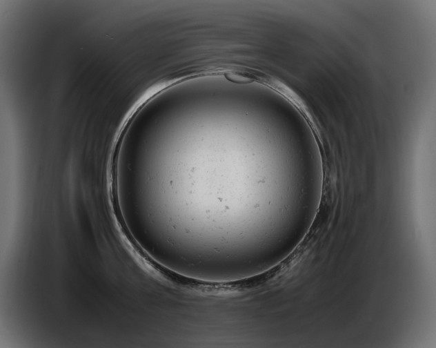 X0000087670811200705041009