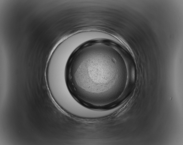 X0000087670813200705041009