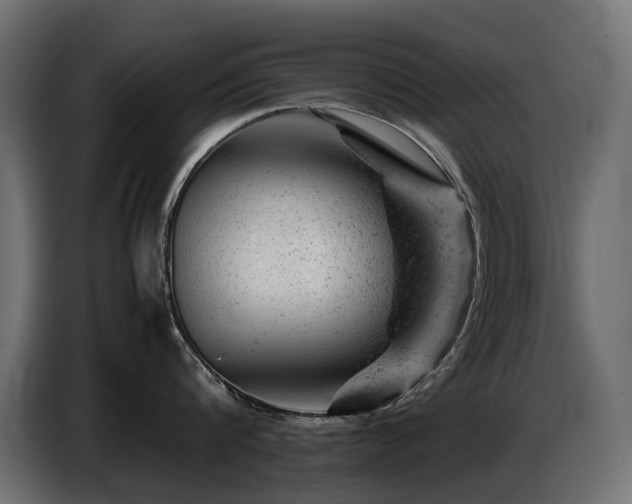 X0000087670816200705041009