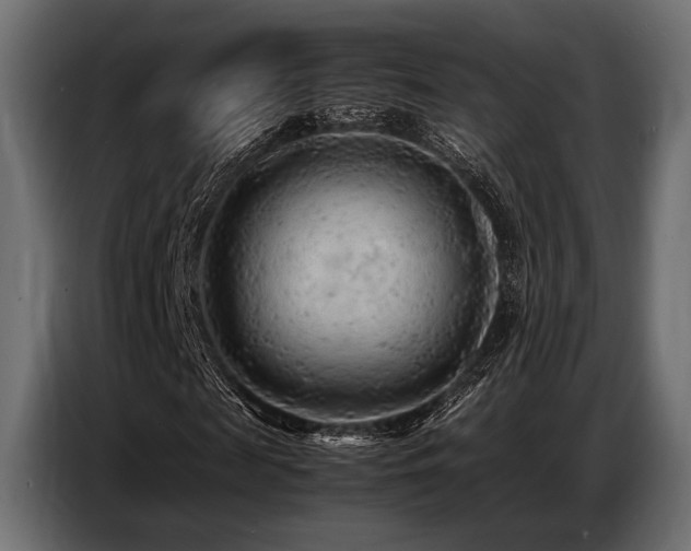 X0000087670817200705041008