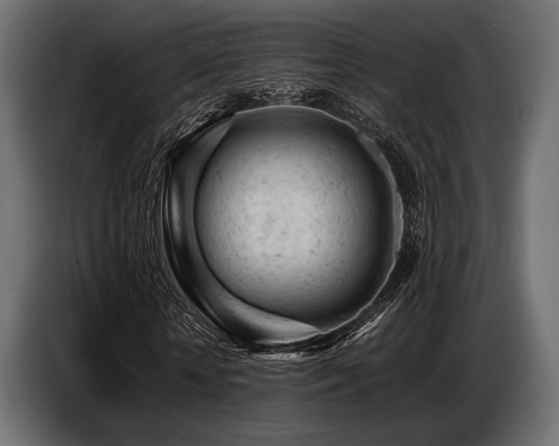 X0000087670818200705041008