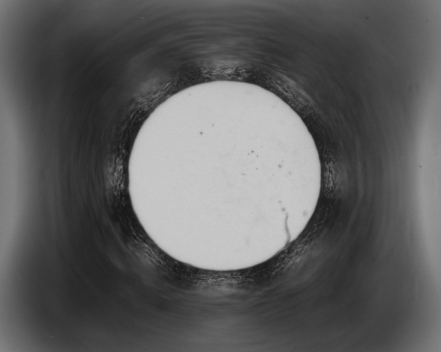 X0000087670820200705041009