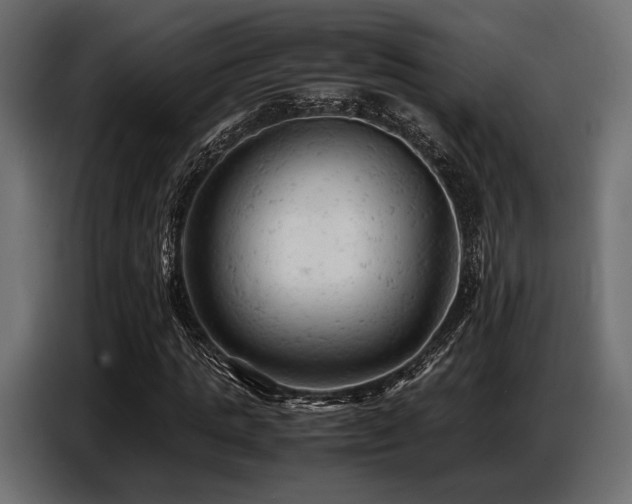 X0000087670821200705041009