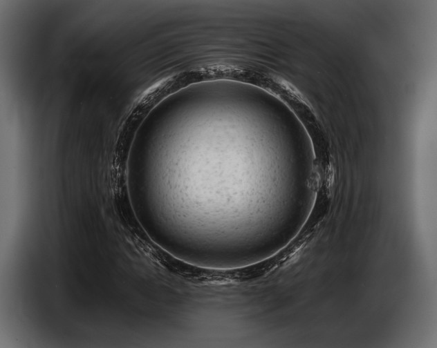 X0000087670822200705041009