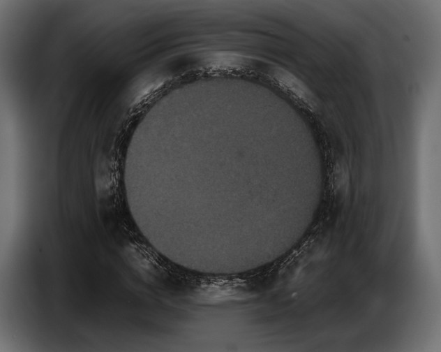 X0000087670824200705041009