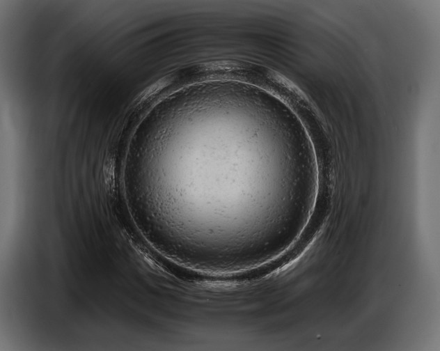 X0000087670825200705041009