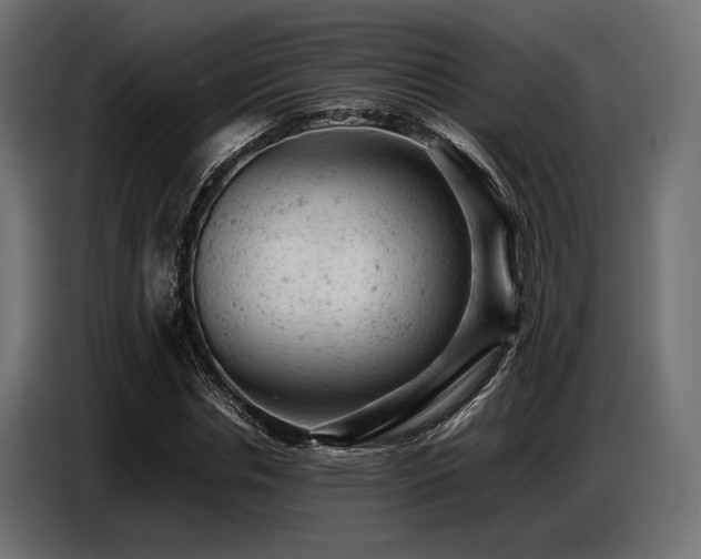 X0000087670826200705041009