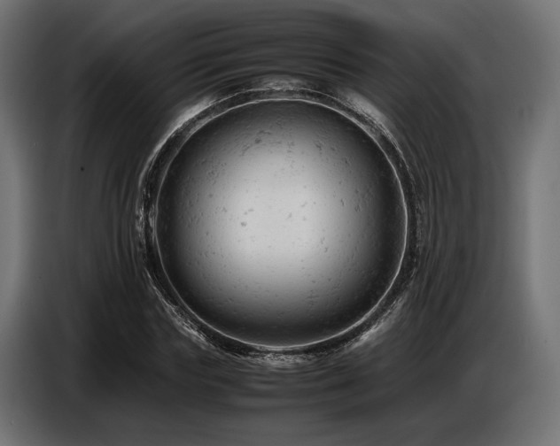 X0000087670827200705041009