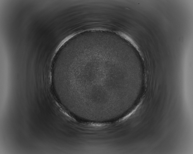 X0000087670829200705041009