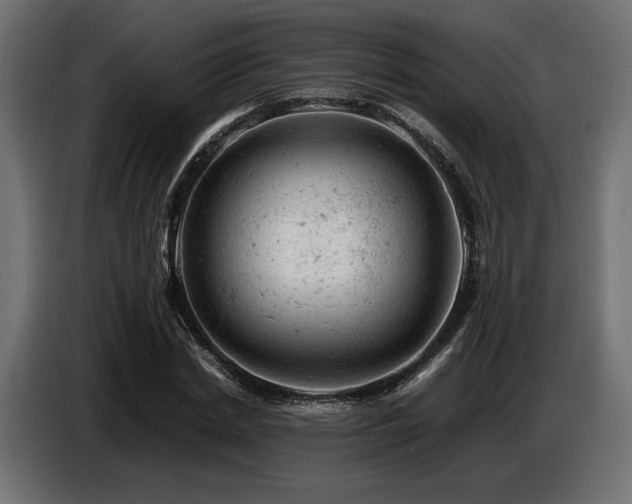 X0000087670830200705041009