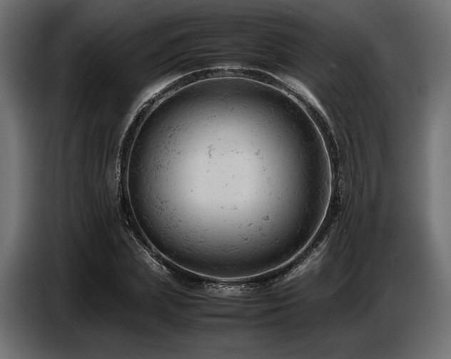 X0000087670831200705041009