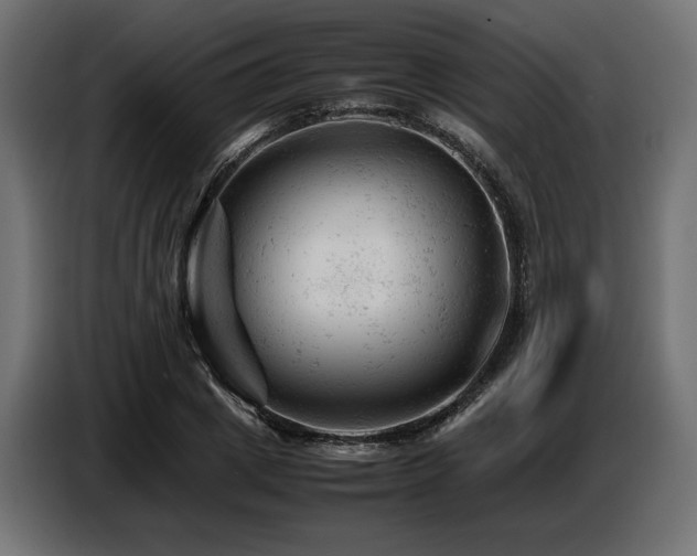 X0000087670833200705041009