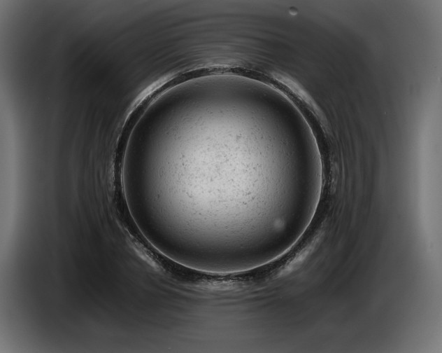 X0000087670834200705041009