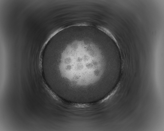 X0000087670835200705041009