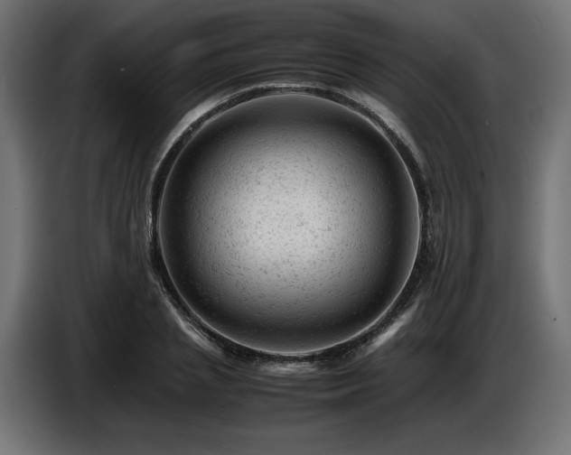 X0000087670837200705041009