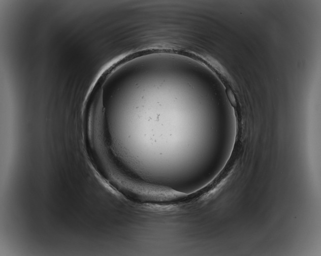 X0000087670838200705041009