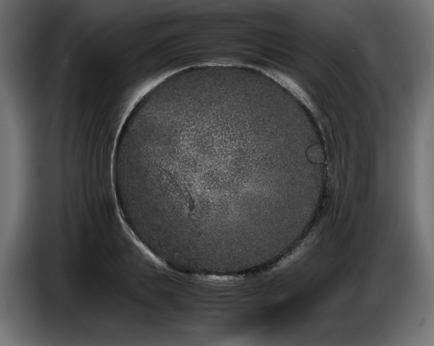 X0000087670839200705041009