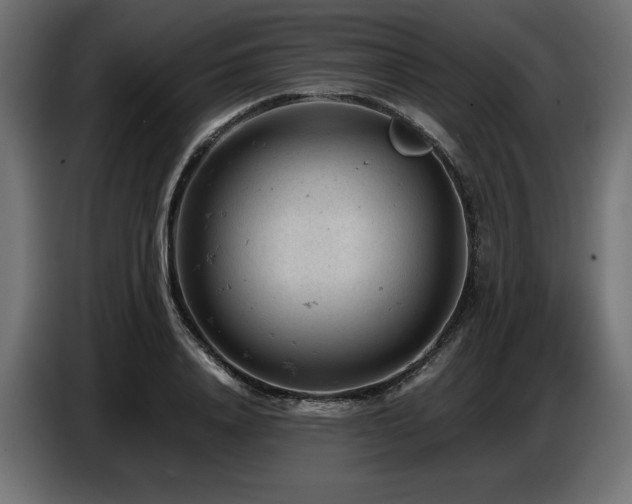 X0000087670840200705041009