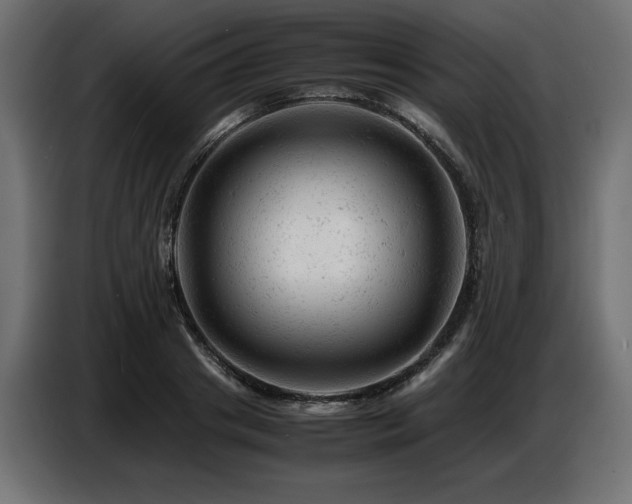 X0000087670841200705041009